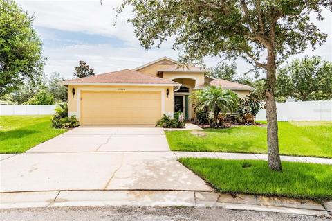 11003 Silver Dancer Dr, Riverview, FL 33579 photo 1