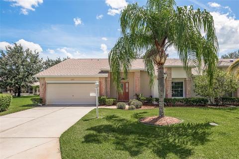 1222 Sweet Jasmine Dr, Trinity, FL 34655 photo 1