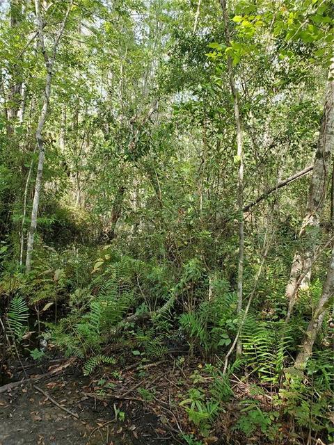 Undisclosed, New Port Richey, FL 34654
