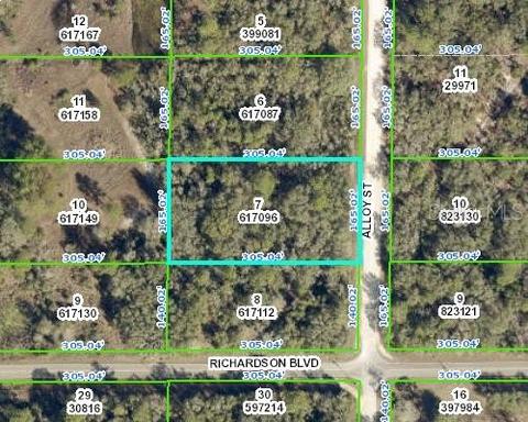 7451 Alloy St, Webster, FL 33597 photo 1