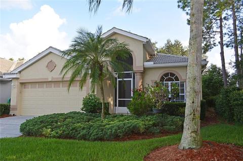 9202 Souchak Dr, Trinity, FL 34655 photo 1