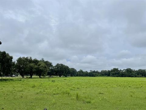 12892 Cr 727, Webster, FL 33597 photo 1