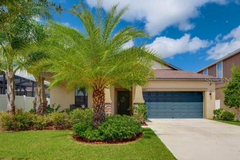 12231 Ballentrae Forest Dr, Riverview, FL 33579 photo 1