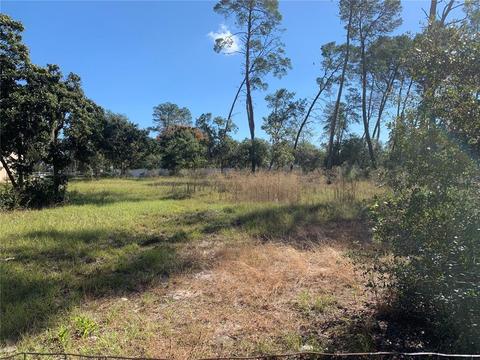 6512 Orinoco Rd, Weeki Wachee, FL 34613 photo 1
