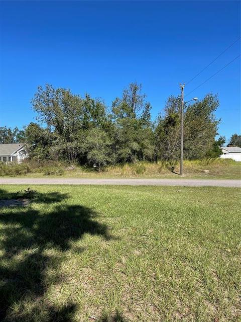 3032 Cloudcroft Ave, Spring Hill, FL 34609 photo 1