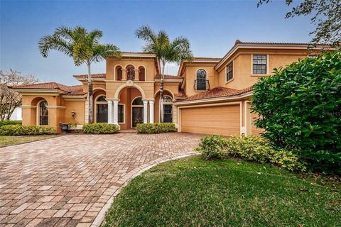 10541 Sabella Dr, Trinity, FL 34655 photo 1