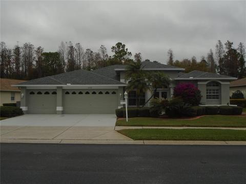 11133 Wedgemere Dr, Trinity, FL 34655 photo 1