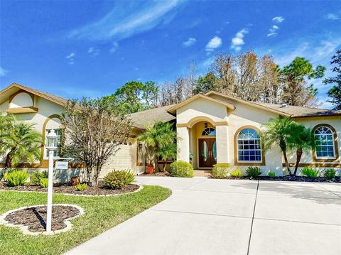 1426 Warrington Way, Trinity, FL 34655 photo 1