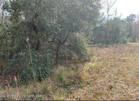 00 Thames Rd, Weeki Wachee, FL 34613