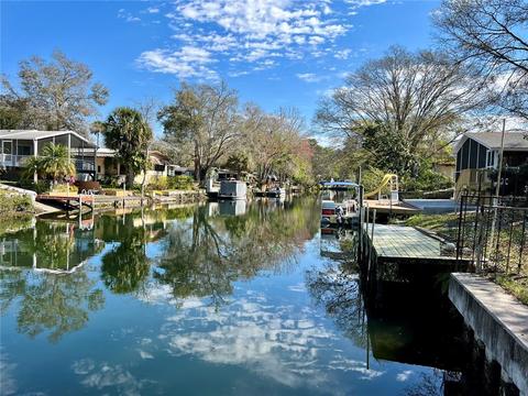 6291 Theodan St, Weeki Wachee, FL 34607 photo 1