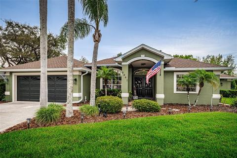 8442 Rustlewood Ct, Trinity, FL 34655 photo 1