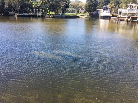 Lot 8 & 9 Old Dixie Highway, Hudson, FL 34667