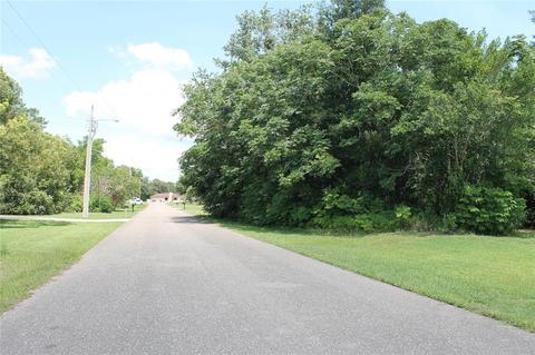 13206 Amber Woods St, Spring Hill, FL 34609