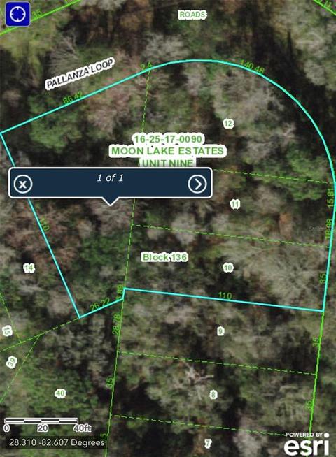 12528 Pallanza Loop, New Port Richey, FL 34654