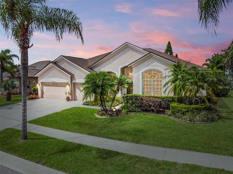 8824 Bel Meadow Way, Trinity, FL 34655 photo 1