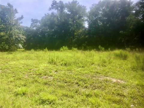 6478 Norman St, Webster, FL 33597 photo 1