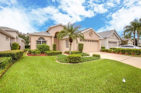 9243 Alcott Way, Trinity, FL 34655 photo 1