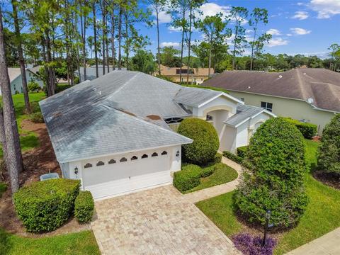 11201 Brambleleaf Way, Hudson, FL 34667 photo 1