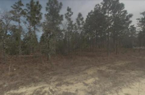 Parallel Road, Weeki Wachee, FL 34614 photo 1
