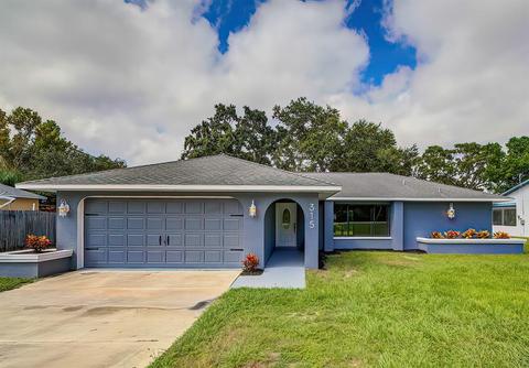 315 Plumtree Ave, Spring Hill, FL 34606 photo 1