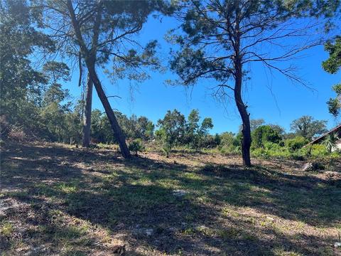 6400 Freeport Dr, Spring Hill, FL 34608 photo 1