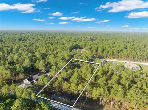 Mellon Road, Weeki Wachee, FL 34614