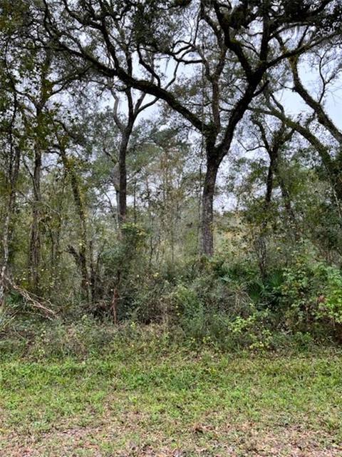 Table Rock Drive, Webster, FL 33597