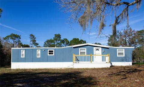 17829 Carthage Ave, Spring Hill, FL 34610 photo 1