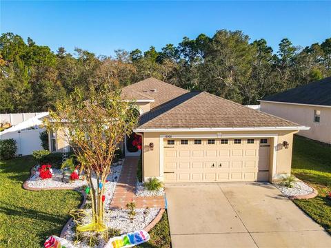 10100 Ives Loop, Hudson, FL 34667 photo 1