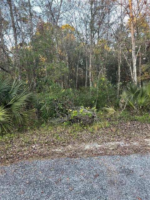 Sioux Trail, Kissimmee, FL 34747