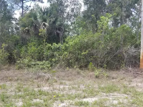1010 Fayette Ave, Lehigh Acres, FL 33974