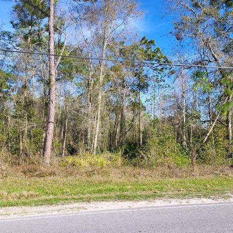 12702 Morton St, New Port Richey, FL 34654