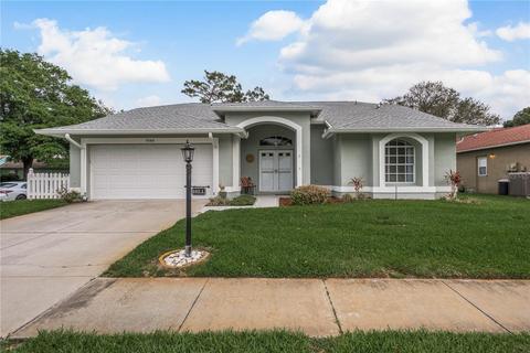 9548 Springmeadow Dr, New Port Richey, FL 34655