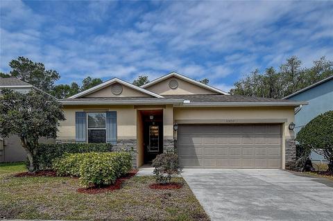 12053 Deertrack Loop, Spring Hill, FL 34610