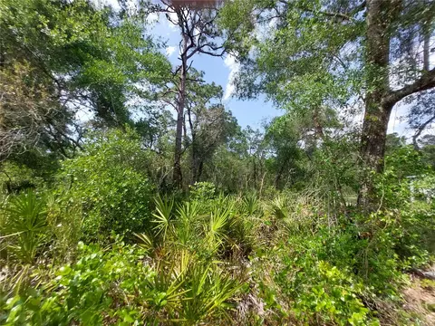 0 Oconee Blvd, New Port Richey, FL 34654