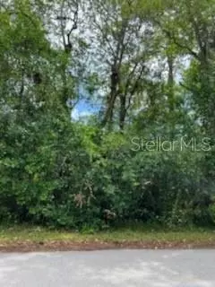 County Road 44, Leesburg, FL 34788