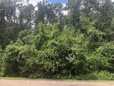 0000 Telford St, New Port Richey, FL 34654