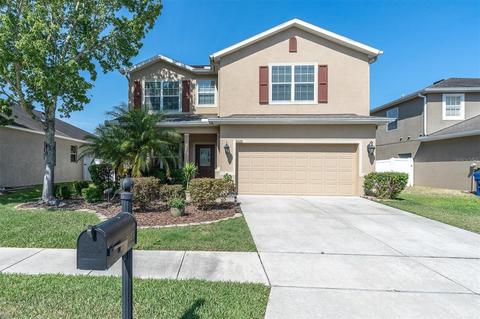 5625 Angelonia Ter, Land O Lakes, FL 34639