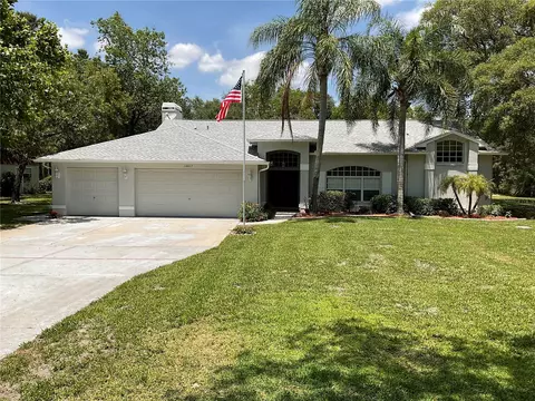 14413 Duane Ct, Spring Hill, FL 34610