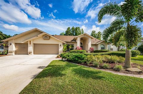 8430 Prestwick Pl, Trinity, FL 34655