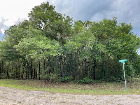 1845 E Derby Dr, Citrus Springs, FL 34434