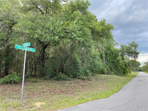 8408 N Yellowbird Ave, Citrus Springs, FL 34434