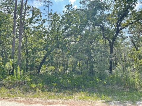 18043 Nighthawk Rd, Weeki Wachee, FL 34614
