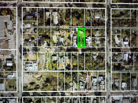 Lot 21, Tarpon Springs, FL 34689