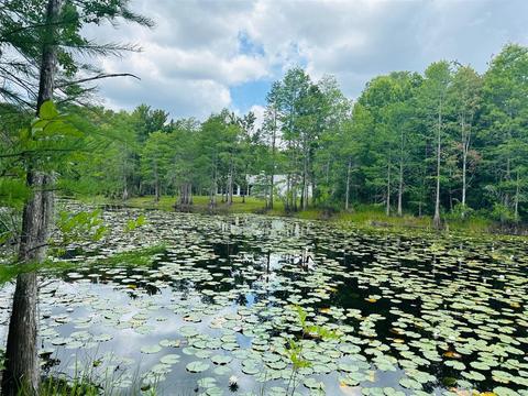 10130 Yellow Frog Ave, Weeki Wachee, FL 34614