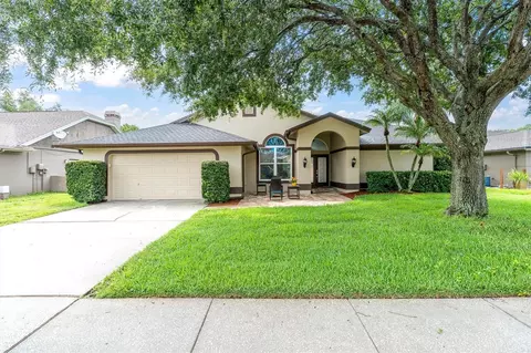 787 Cherrybrooke Ct, Tarpon Springs, FL 34688