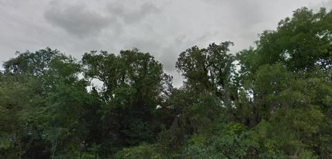 Lots 56-57 Hagar Drive, New Port Richey, FL 34654