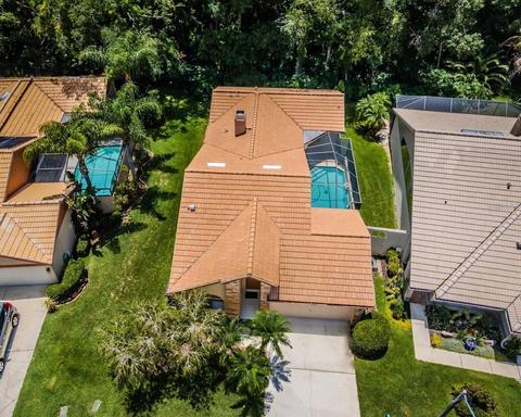 3618 Darston St, Palm Harbor, FL 34685