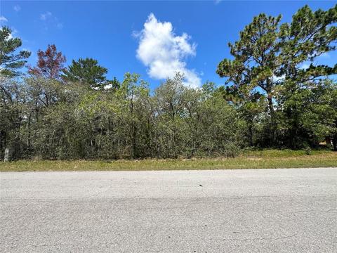 49 Lone Pine St, Homosassa, FL 34446