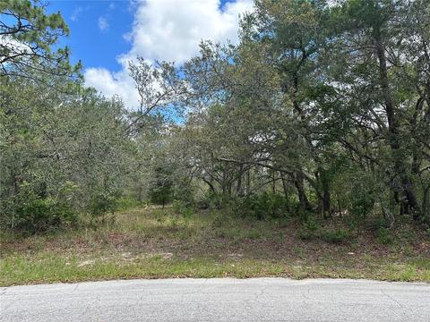 9 Dusty Miller Ct, Homosassa, FL 34446